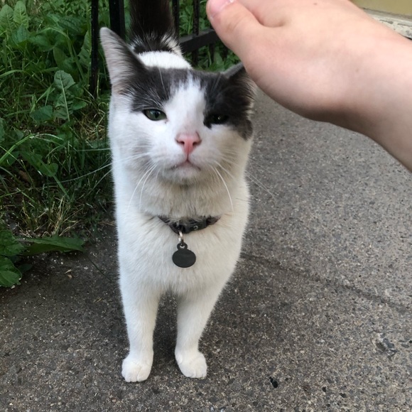 Meet your Posher, Star - Picture 1 of 1